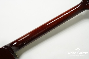 SE 245 Standard - Tabacco Sunburst